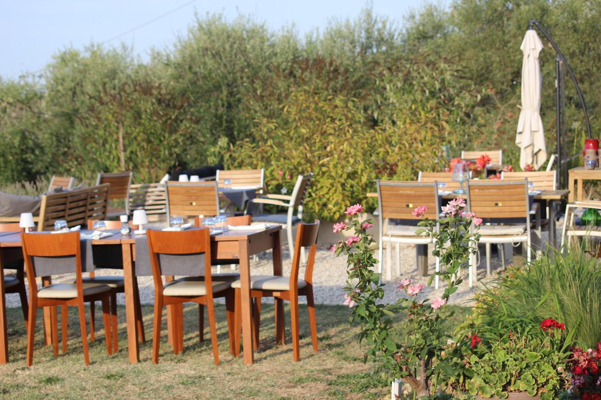 Gastronomic B&B Carlocarla Monte San Pietrangeli Zewnętrze zdjęcie